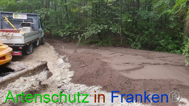 © Artenschutz in Franken® Bild zum Eintrag (1054681-160)