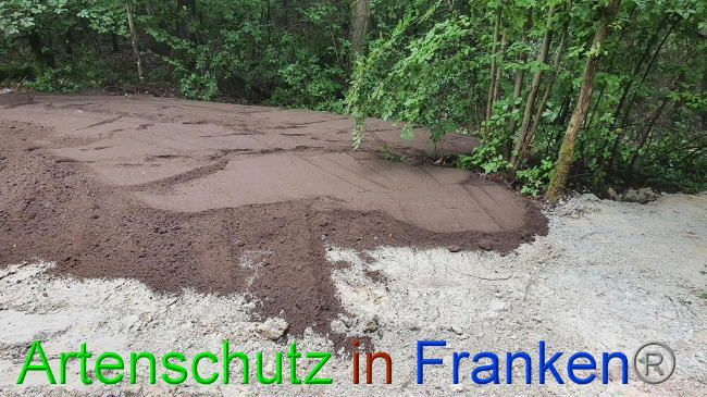 © Artenschutz in Franken® Bild zum Eintrag (1054682-160)
