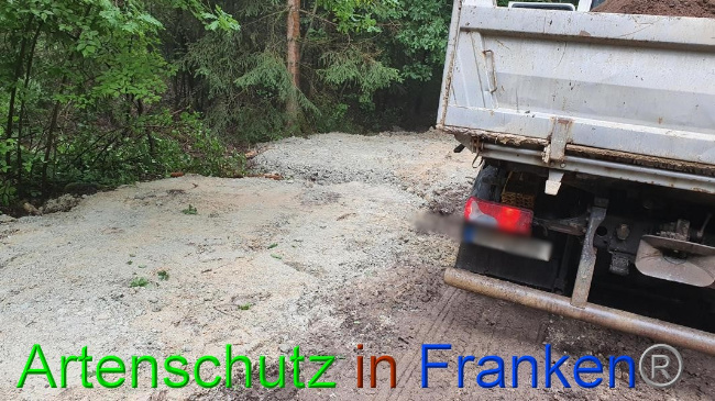 © Artenschutz in Franken® Bild zum Eintrag (1054683-160)