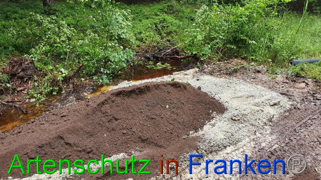 © Artenschutz in Franken® Bild zum Eintrag (1054685-160)