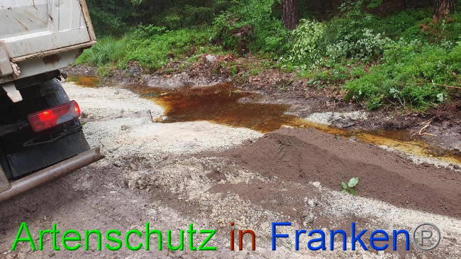 © Artenschutz in Franken® Bild zum Eintrag (1054686-160)