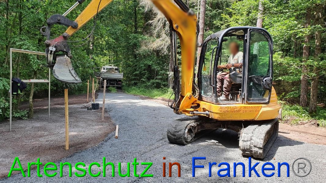 © Artenschutz in Franken® Bild zum Eintrag (1054693-160)