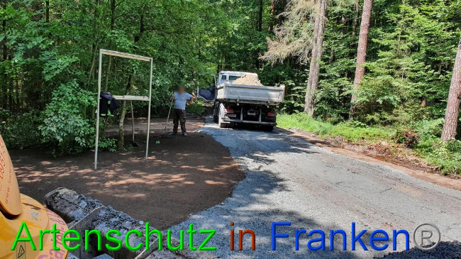 © Artenschutz in Franken® Bild zum Eintrag (1054694-160)