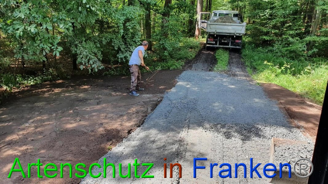 © Artenschutz in Franken® Bild zum Eintrag (1054698-160)