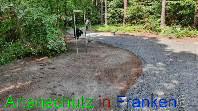© Artenschutz in Franken® Bild zum Eintrag (1054699-160)