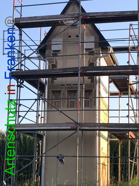 © Artenschutz in Franken® Bild zum Eintrag (1054715-160)