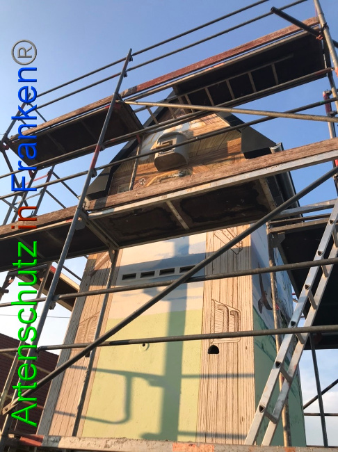 © Artenschutz in Franken® Bild zum Eintrag (1054719-160)