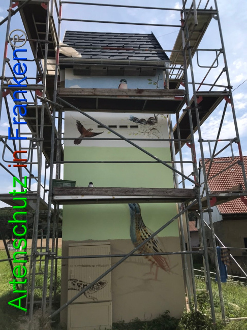 © Artenschutz in Franken® Bild zum Eintrag (1054726-160)