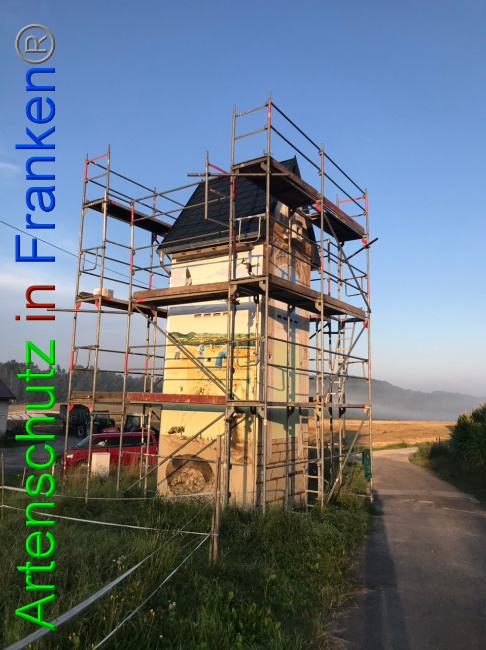© Artenschutz in Franken® Bild zum Eintrag (1054728-160)