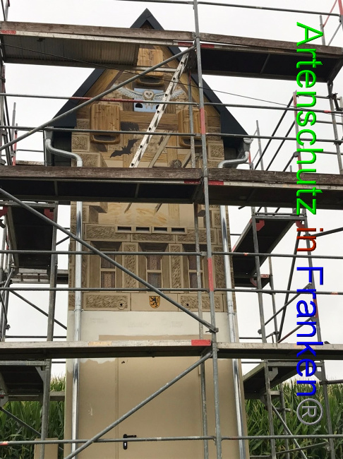© Artenschutz in Franken® Bild zum Eintrag (1055029-160)