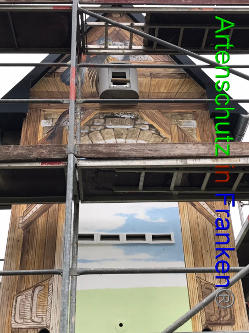 © Artenschutz in Franken® Bild zum Eintrag (1055030-160)