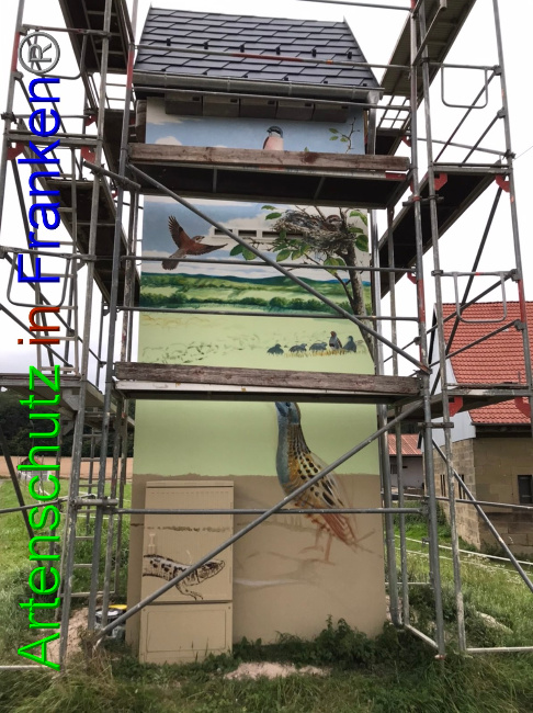 © Artenschutz in Franken® Bild zum Eintrag (1055041-160)