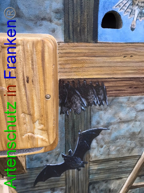 © Artenschutz in Franken® Bild zum Eintrag (1055046-160)