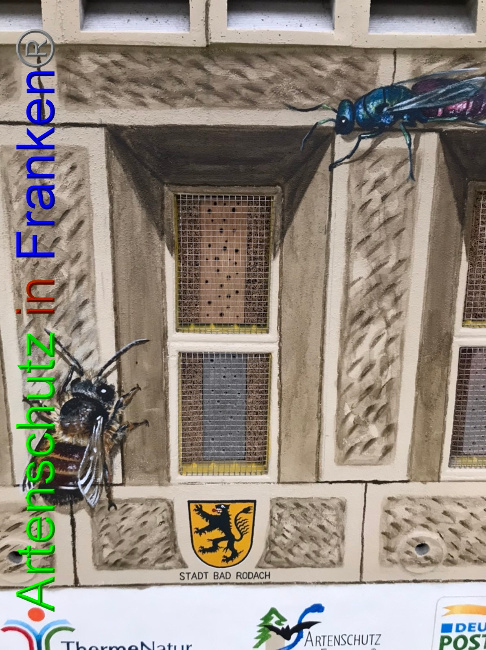 © Artenschutz in Franken® Bild zum Eintrag (1055053-160)