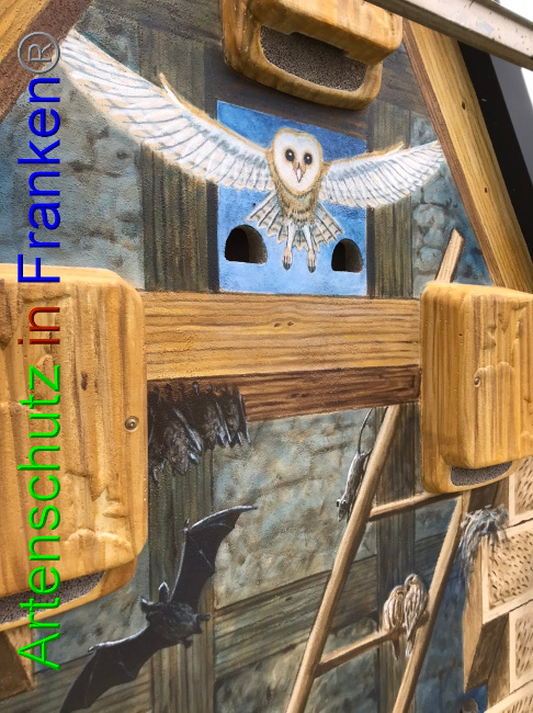 © Artenschutz in Franken® Bild zum Eintrag (1055054-160)