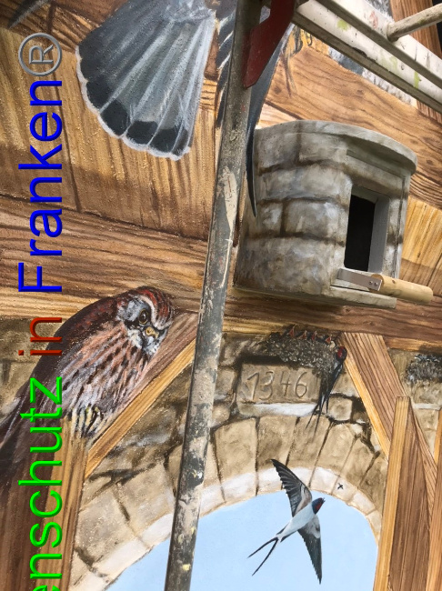 © Artenschutz in Franken® Bild zum Eintrag (1055055-160)