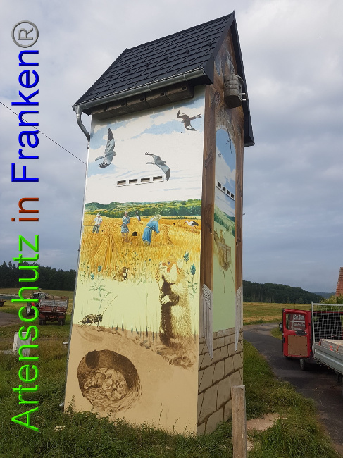© Artenschutz in Franken® Bild zum Eintrag (1055064-160)