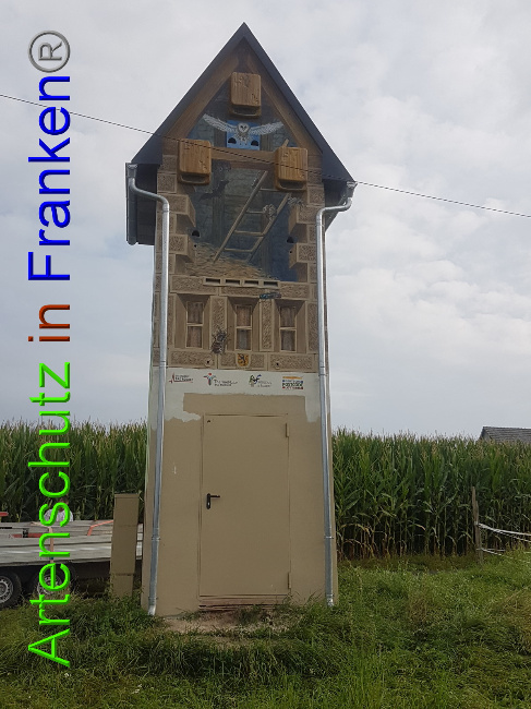 © Artenschutz in Franken® Bild zum Eintrag (1055065-160)