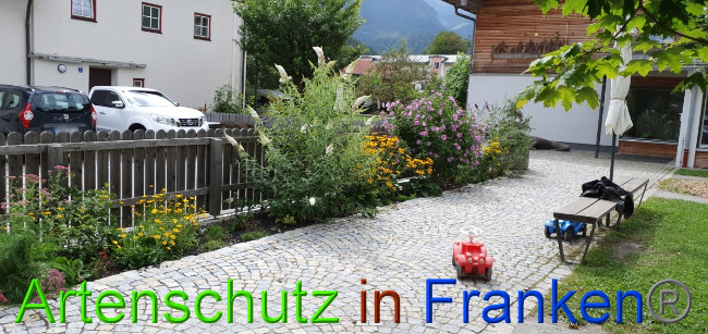 © Artenschutz in Franken® / Manger Bild zum Eintrag (1055153-160)