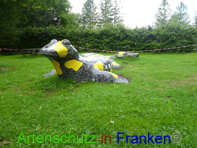 © Artenschutz in Franken® / Müller Bild zum Eintrag (1055251-160)
