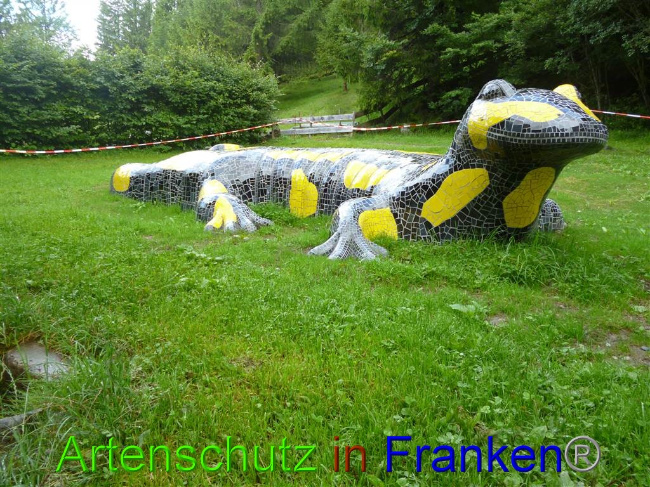 © Artenschutz in Franken® / Müller Bild zum Eintrag (1055252-160)