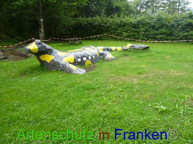 © Artenschutz in Franken® / Müller Bild zum Eintrag (1055253-160)