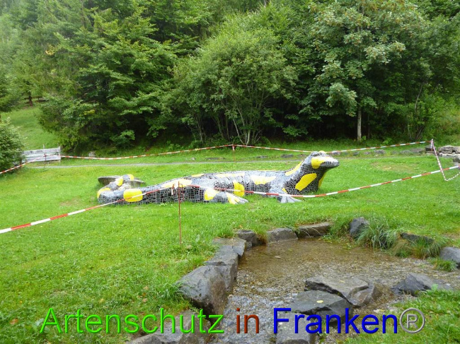 © Artenschutz in Franken® / Müller Bild zum Eintrag (1055254-160)