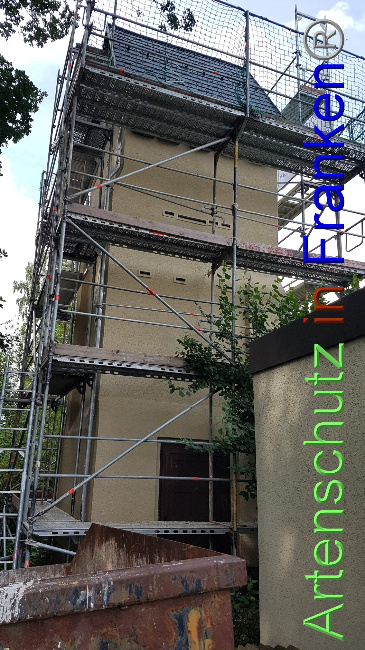 © Artenschutz in Franken® Bild zum Eintrag (1055729-160)