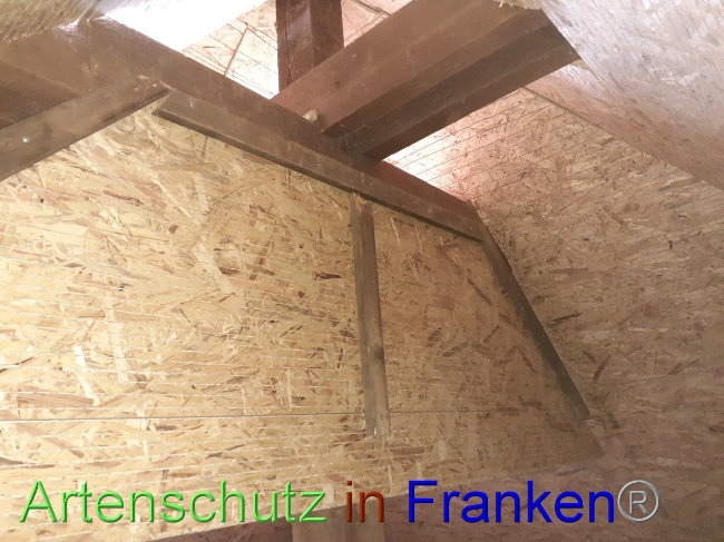 © Artenschutz in Franken® Bild zum Eintrag (1055750-160)