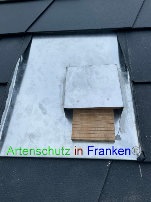 © Artenschutz in Franken® Bild zum Eintrag (1055765-160)