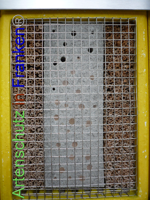 © Artenschutz in Franken® Bild zum Eintrag (1055807-160)