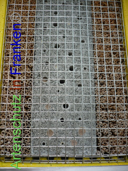 © Artenschutz in Franken® Bild zum Eintrag (1055808-160)