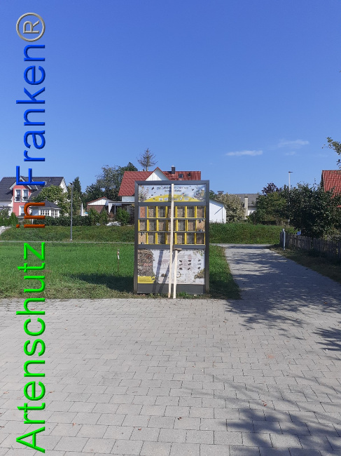 © Artenschutz in Franken® Bild zum Eintrag (1056157-160)