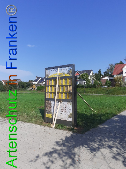 © Artenschutz in Franken® Bild zum Eintrag (1056158-160)
