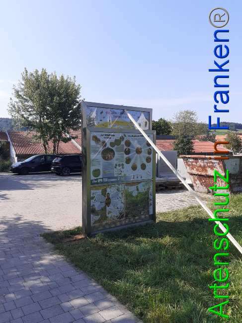 © Artenschutz in Franken® Bild zum Eintrag (1056159-160)