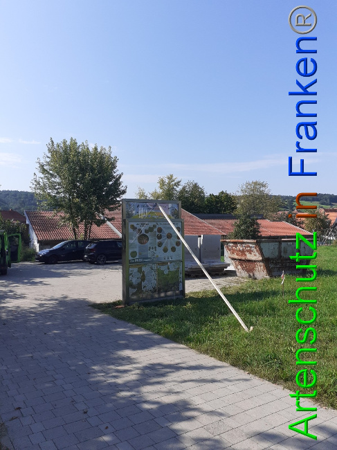 © Artenschutz in Franken® Bild zum Eintrag (1056160-160)