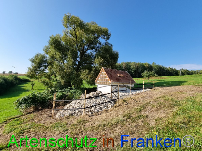 © Artenschutz in Franken® Bild zum Eintrag (1056224-160)