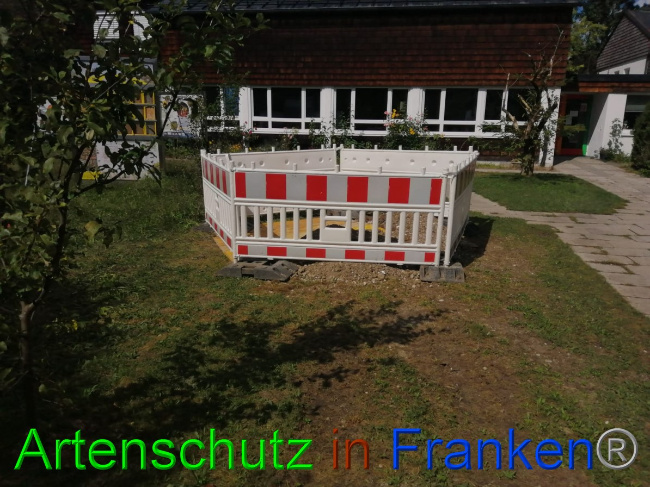 © Artenschutz in Franken® / Weismann Bild zum Eintrag (1056280-160)