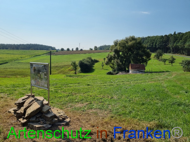 © Artenschutz in Franken® Bild zum Eintrag (1056300-160)