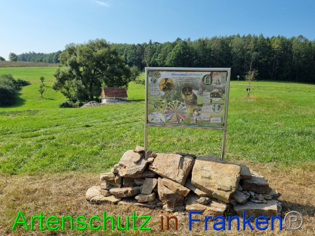 © Artenschutz in Franken® Bild zum Eintrag (1056301-160)