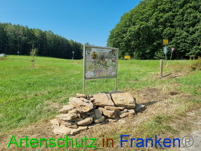 © Artenschutz in Franken® Bild zum Eintrag (1056302-160)