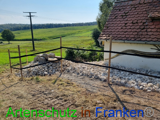 © Artenschutz in Franken® Bild zum Eintrag (1056304-160)