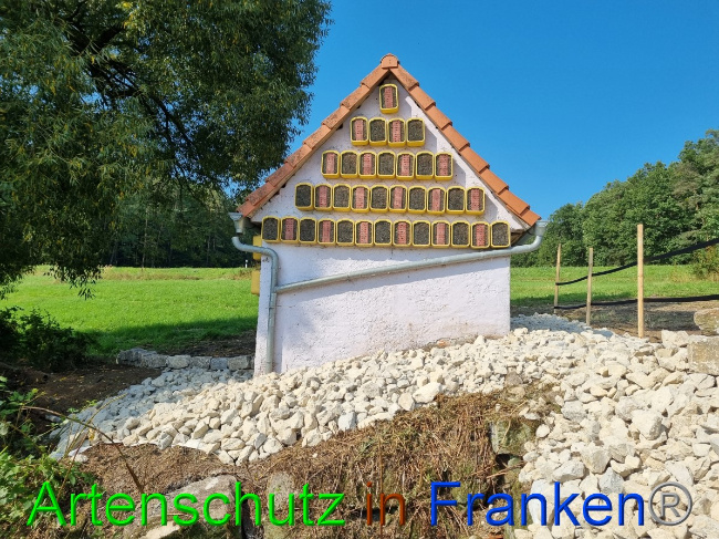 © Artenschutz in Franken® Bild zum Eintrag (1056305-160)