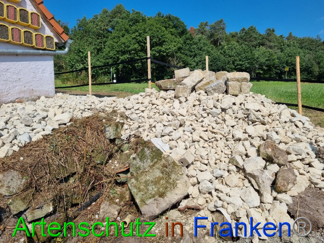 © Artenschutz in Franken® Bild zum Eintrag (1056306-160)
