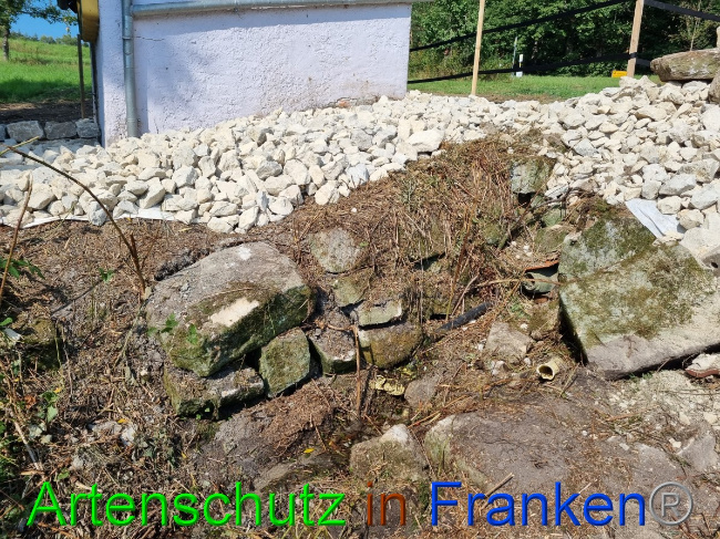 © Artenschutz in Franken® Bild zum Eintrag (1056307-160)