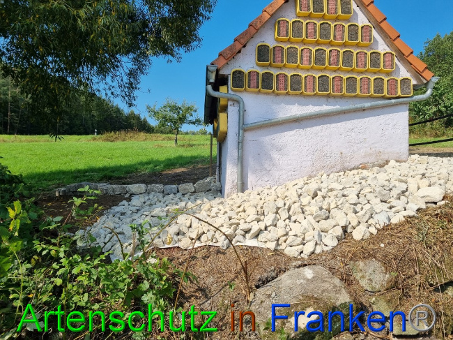 © Artenschutz in Franken® Bild zum Eintrag (1056308-160)