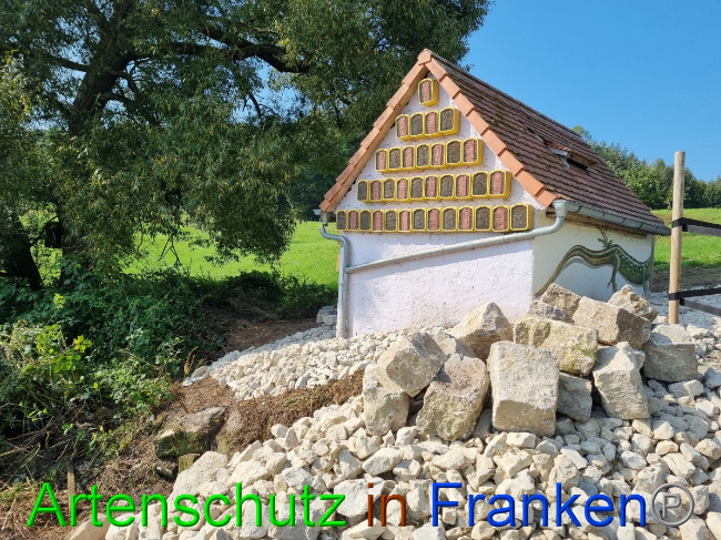 © Artenschutz in Franken® Bild zum Eintrag (1056309-160)