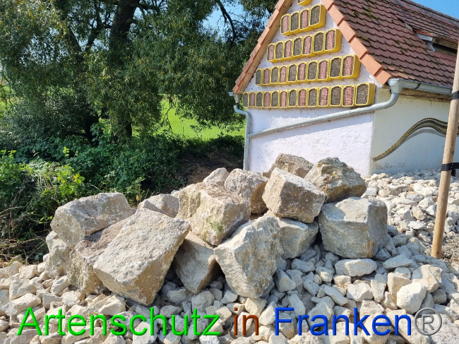 © Artenschutz in Franken® Bild zum Eintrag (1056310-160)