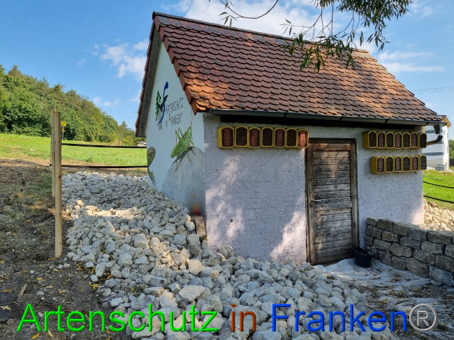 © Artenschutz in Franken® Bild zum Eintrag (1056311-160)