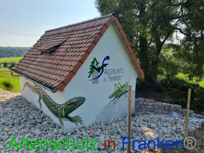 © Artenschutz in Franken® Bild zum Eintrag (1056312-160)